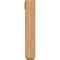 Ekena Millwork Thorton Craftsman Smooth Bracket w/ Offset Brace, Western Red Cedar, 5 1/2"W x 20"D x 32"H BKT0604X20X32THR04SWR - alternate 3